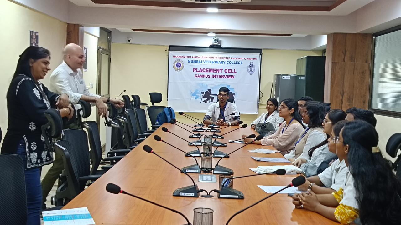 placement cell (4)